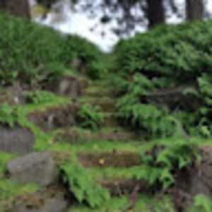 Meet your Posher, Tl